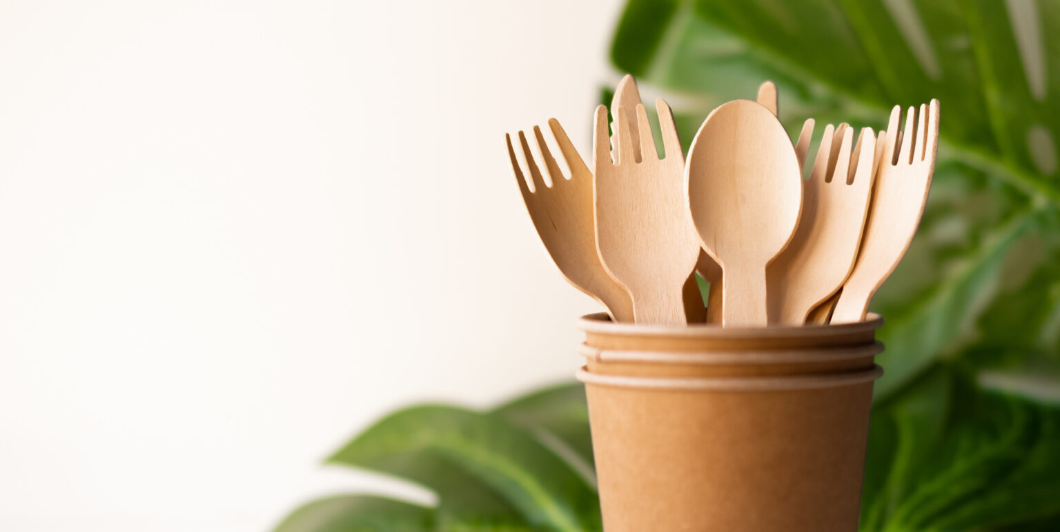 eco friendly disposable products kitchenware utensils on white background. wooden forks and spoons in paper cup. and green leaf. ecology, zero waste concept. copyspace.